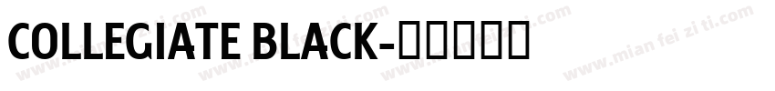 COLLEGIATE BLACK字体转换